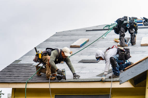 Professional Roof Replacement technician working in Minier, IL